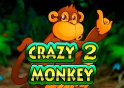 Crazy Monkey 2